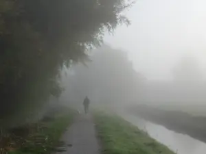 Door voeding meer grip op reuma